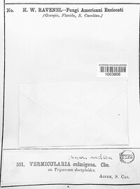 Image Associated With the Occurence